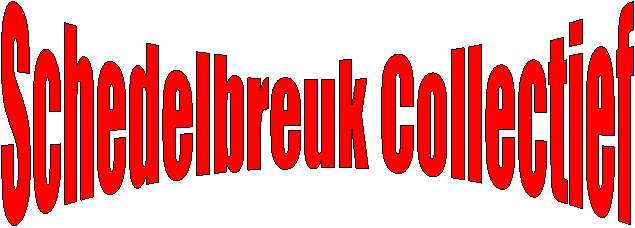 Logo Schedelbreuk Collectief
